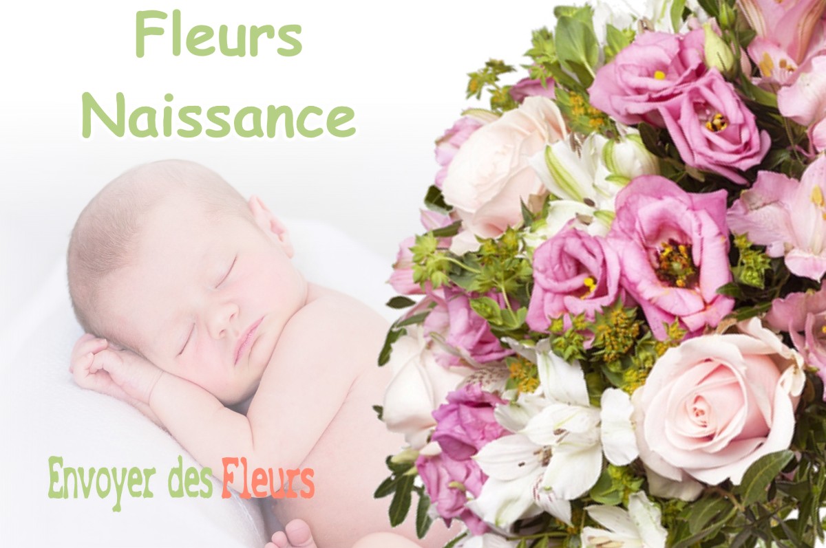 lIVRAISON FLEURS NAISSANCE à SAINT-MICHEL-ESCALUS